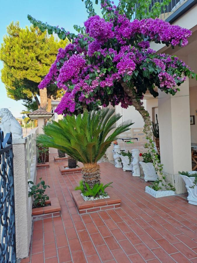 Bouganville Casa Vacanza Ambiente Climatizzato Con Wi Fi Пинето Экстерьер фото